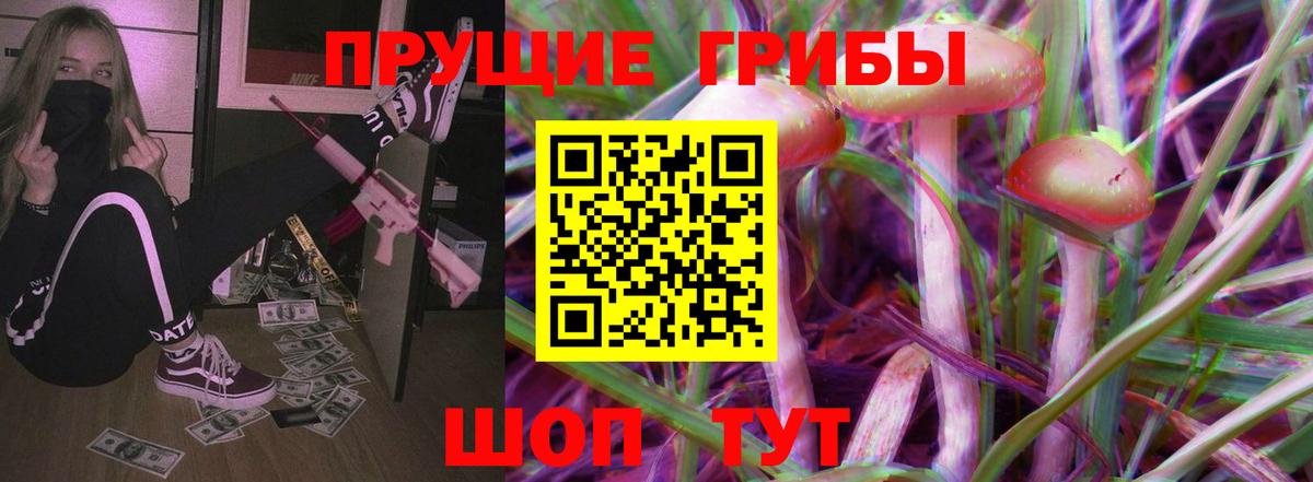 Псилоцибиновые грибы мицелий Курчалой